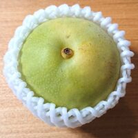 二十世紀梨と幸水の違いを味や時期等で5つまとめてみました!