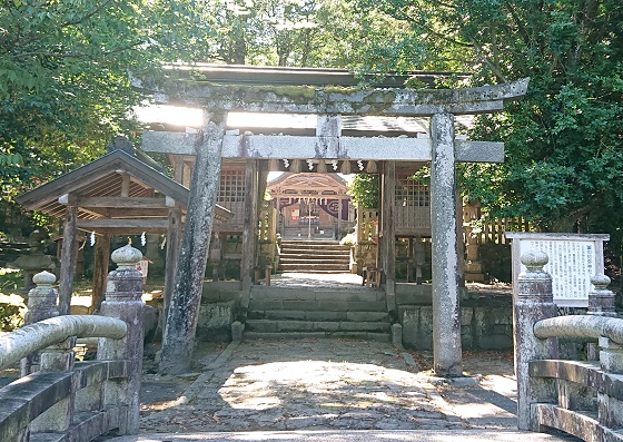 鳥取 馬の神社 午年