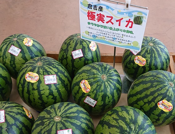 倉吉スイカ 大栄スイカ 違い