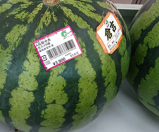 倉吉スイカ 糖度