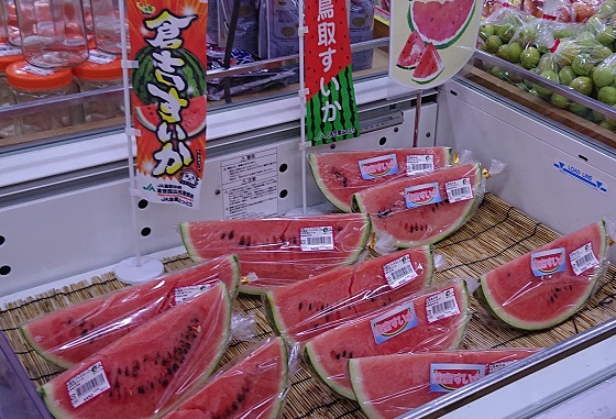 倉吉スイカ 大栄スイカ 違い