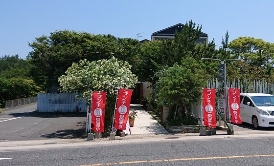 鳥取砂丘 犬連れ ランチ
